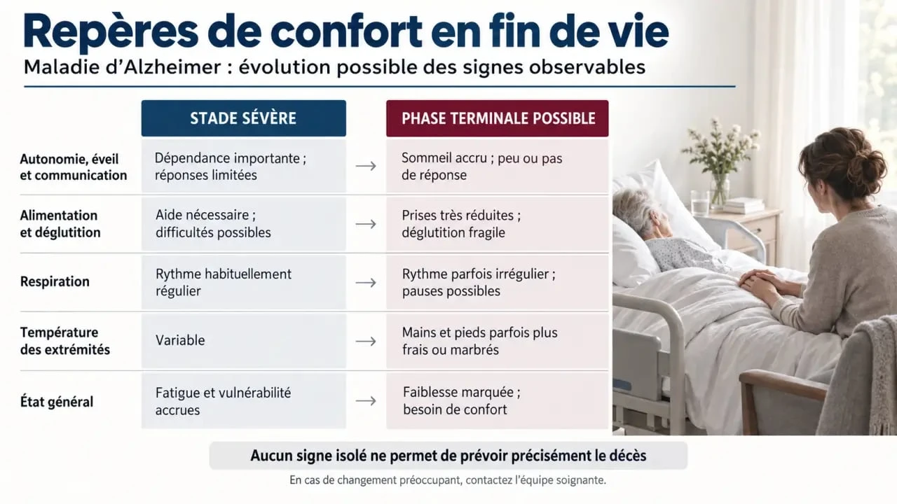 Infographie sur les signes de fin de vie pour un Alzheimer et la différence entre stade sévère et phase terminale